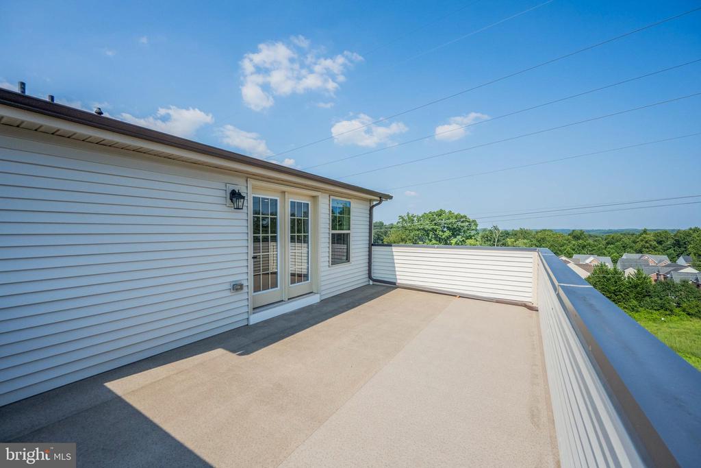 3923 COOKS LANE