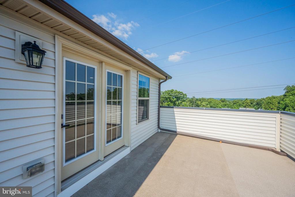3923 COOKS LANE