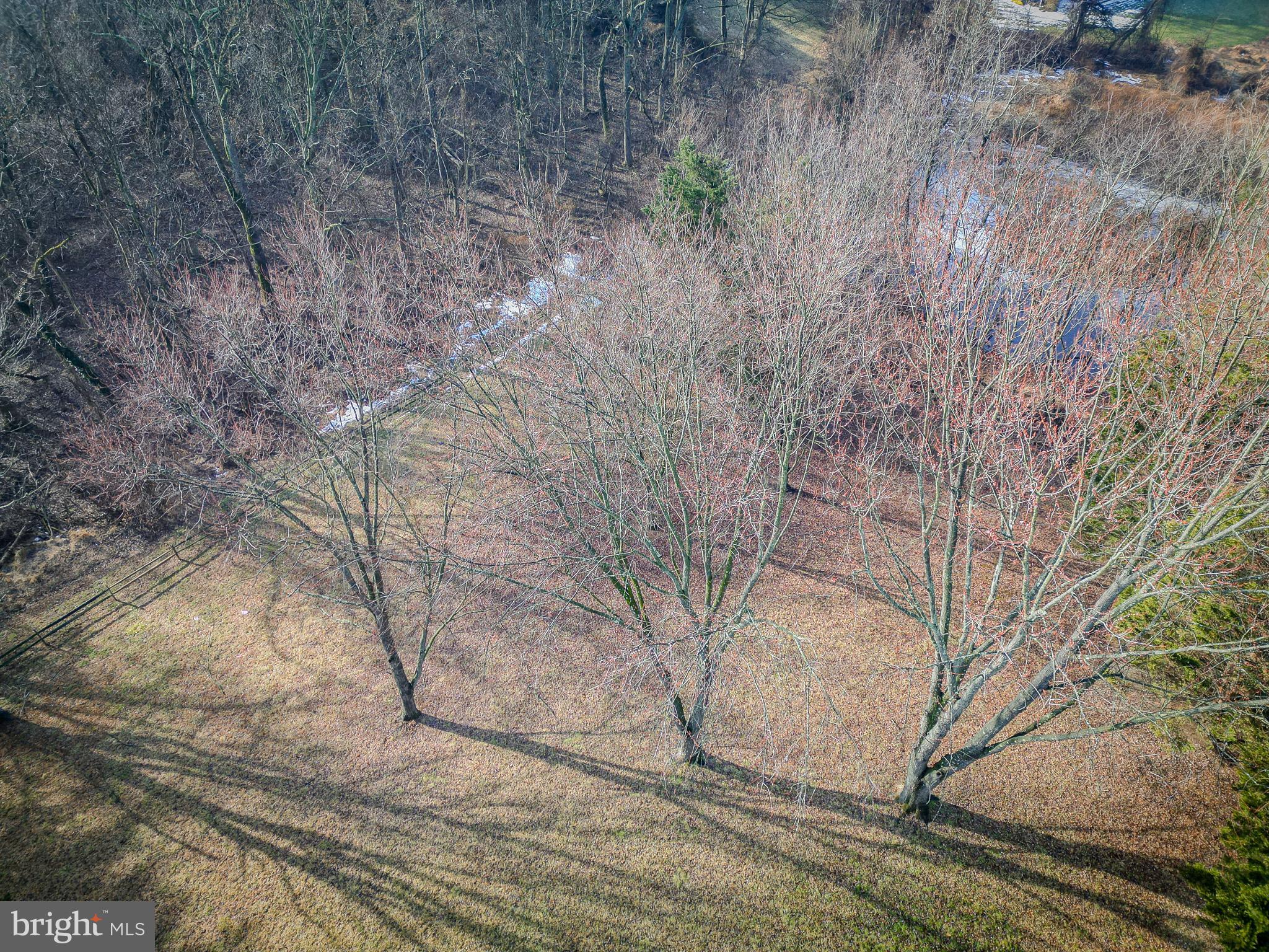 10343 WAVERLY WOODS DRIVE