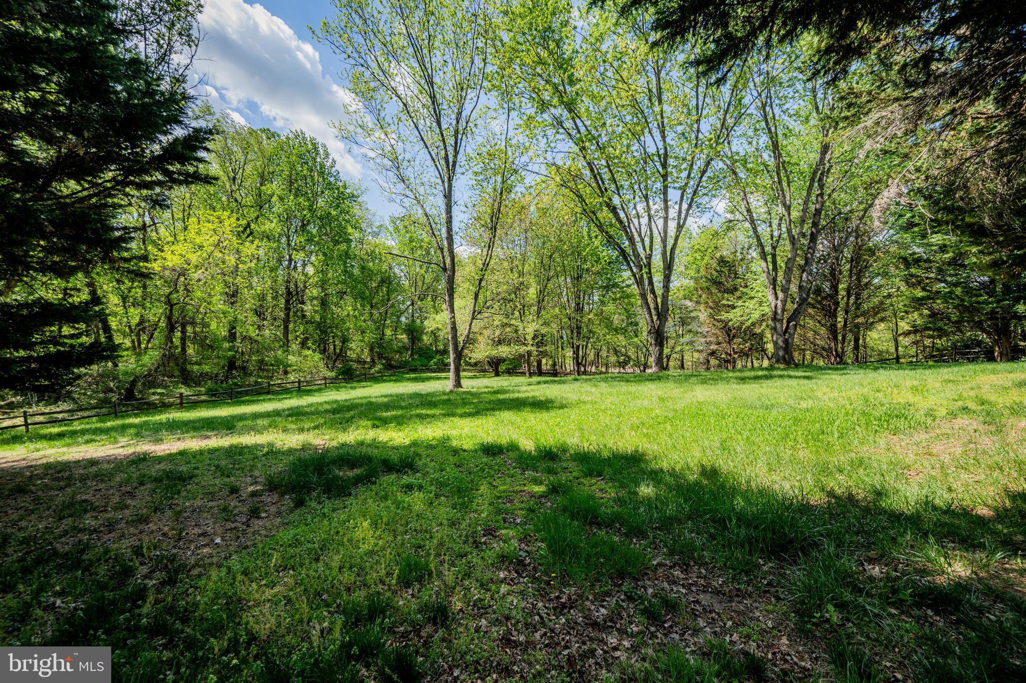 10343 WAVERLY WOODS DRIVE