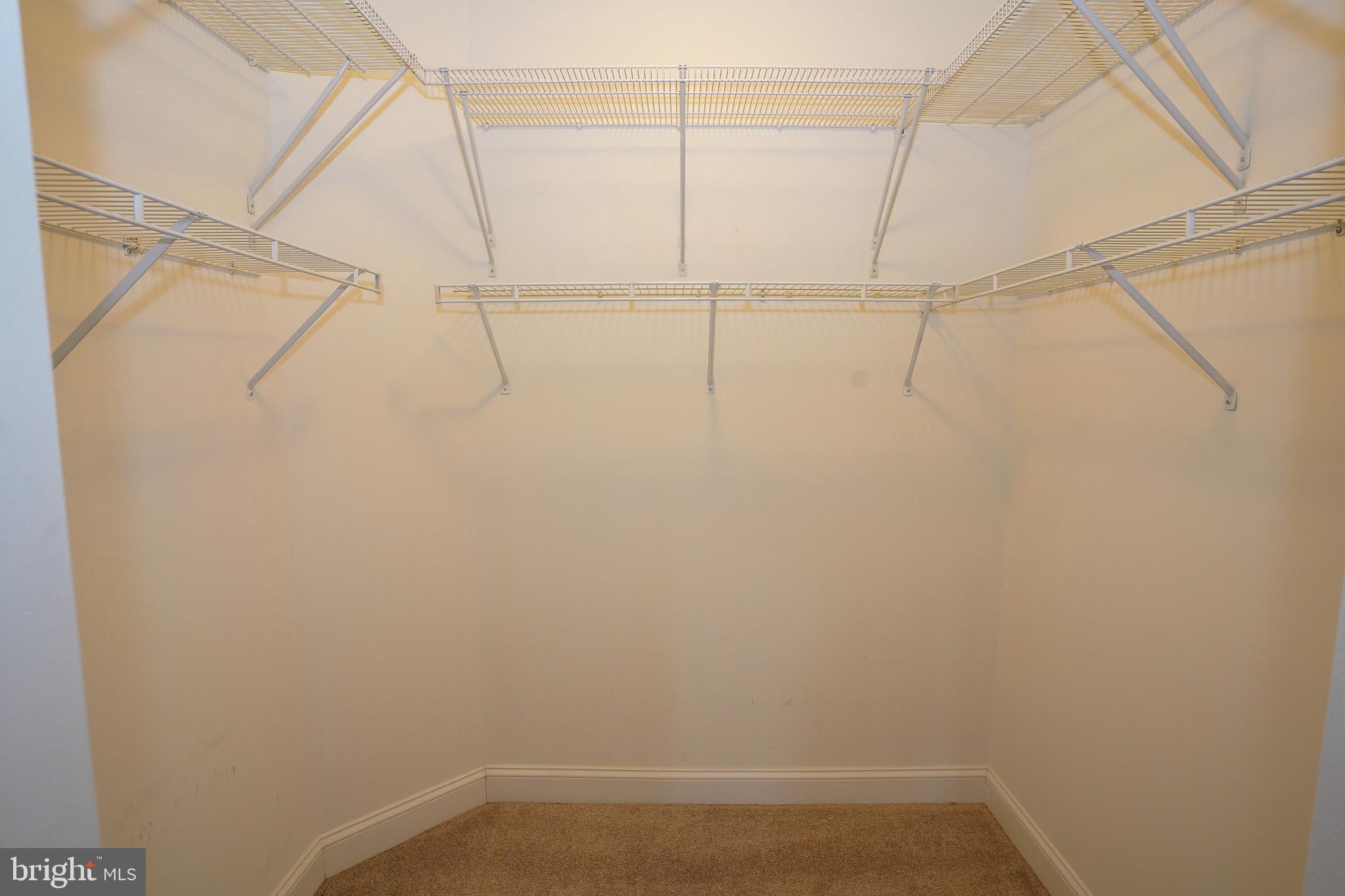 2115 GANTON GREEN G-204