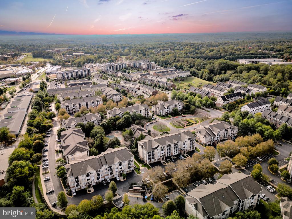 19609 GALWAY BAY CIRCLE Unit: 202