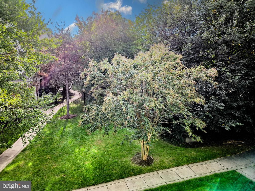 19609 GALWAY BAY CIRCLE Unit: 202
