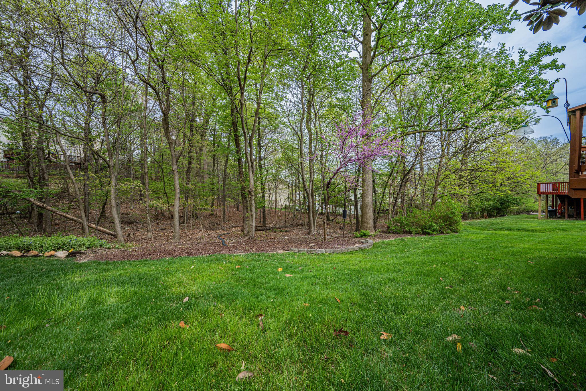 7901 Aylesford Ln