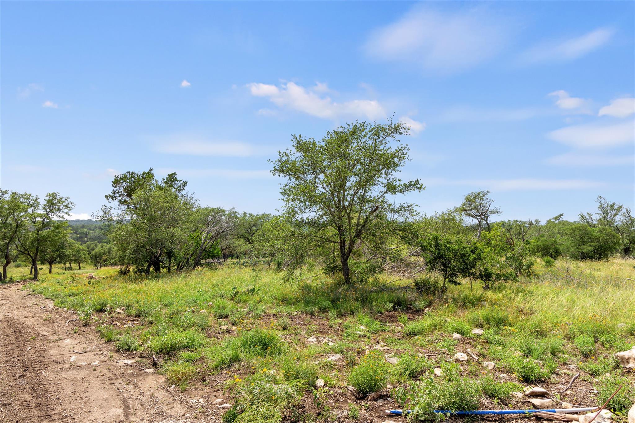 Lot 7 Pedernales Canyon TRL Lot 7
