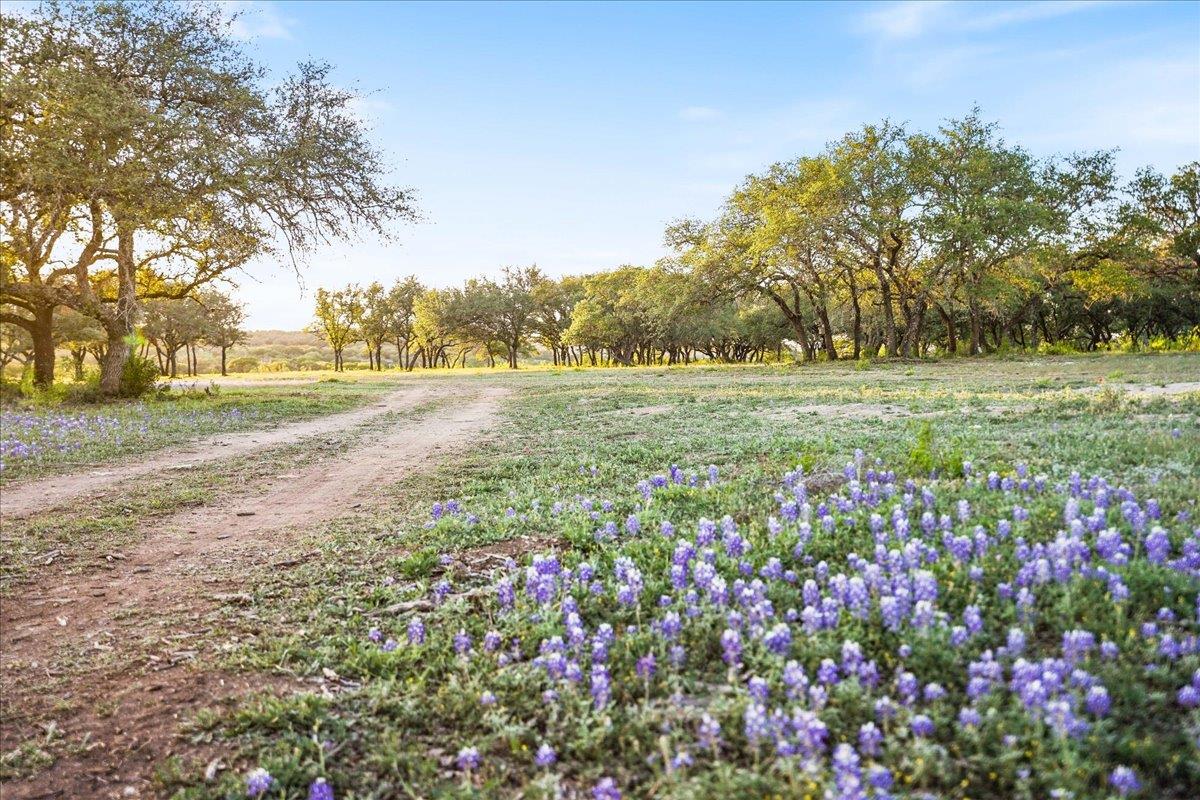 Lot 7 Pedernales Canyon TRL Lot 7