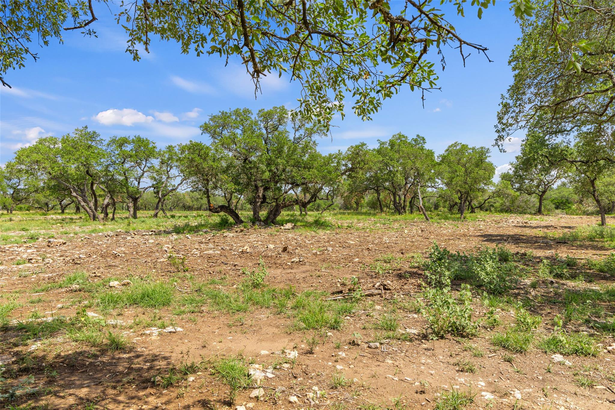 Lot 7 Pedernales Canyon TRL Lot 7