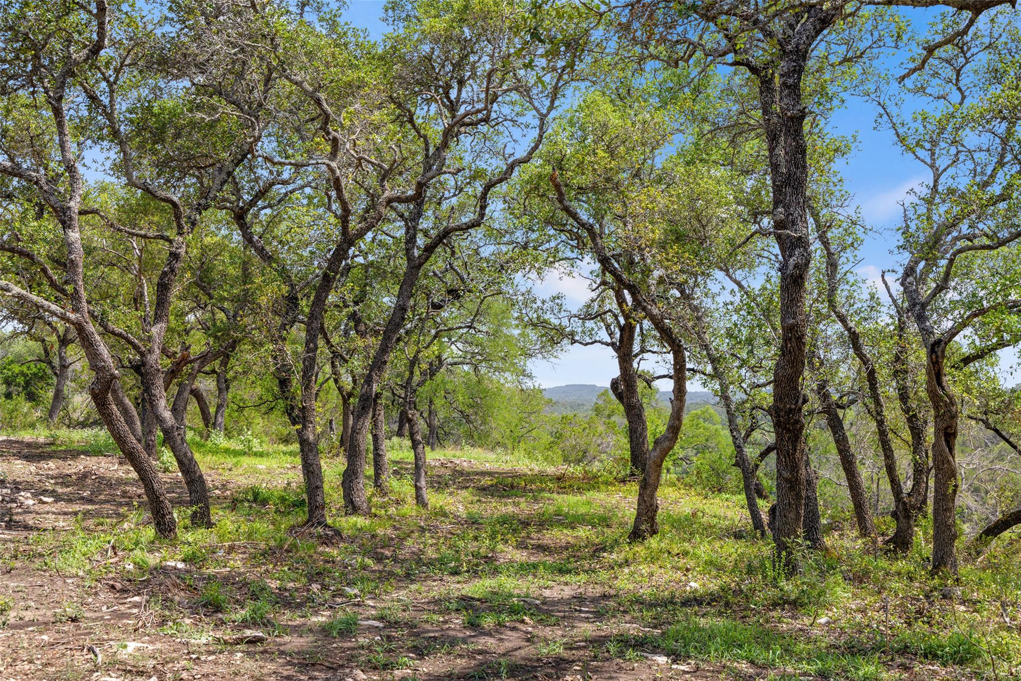 Lot 7 Pedernales Canyon TRL Lot 7