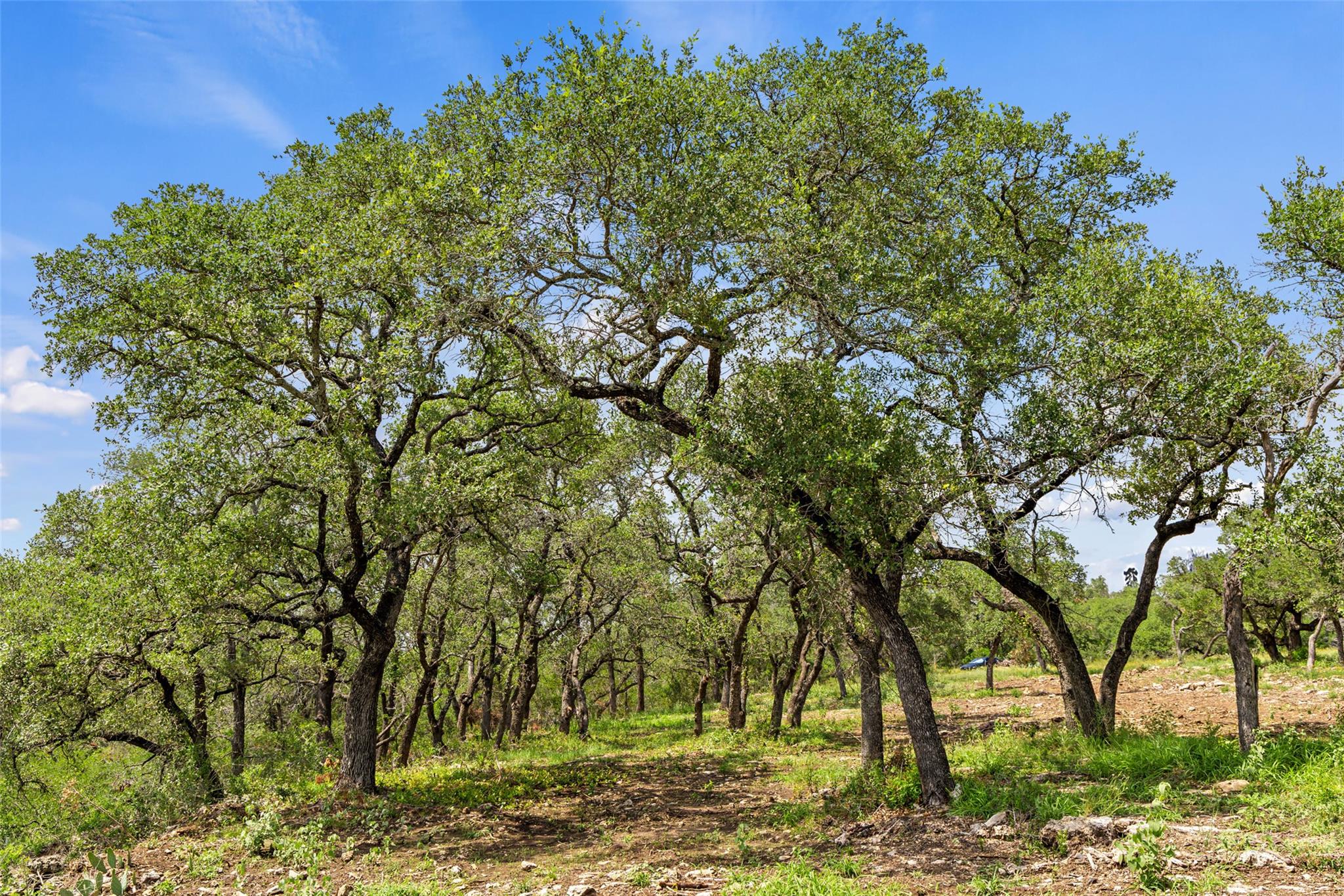 Lot 7 Pedernales Canyon TRL Lot 7