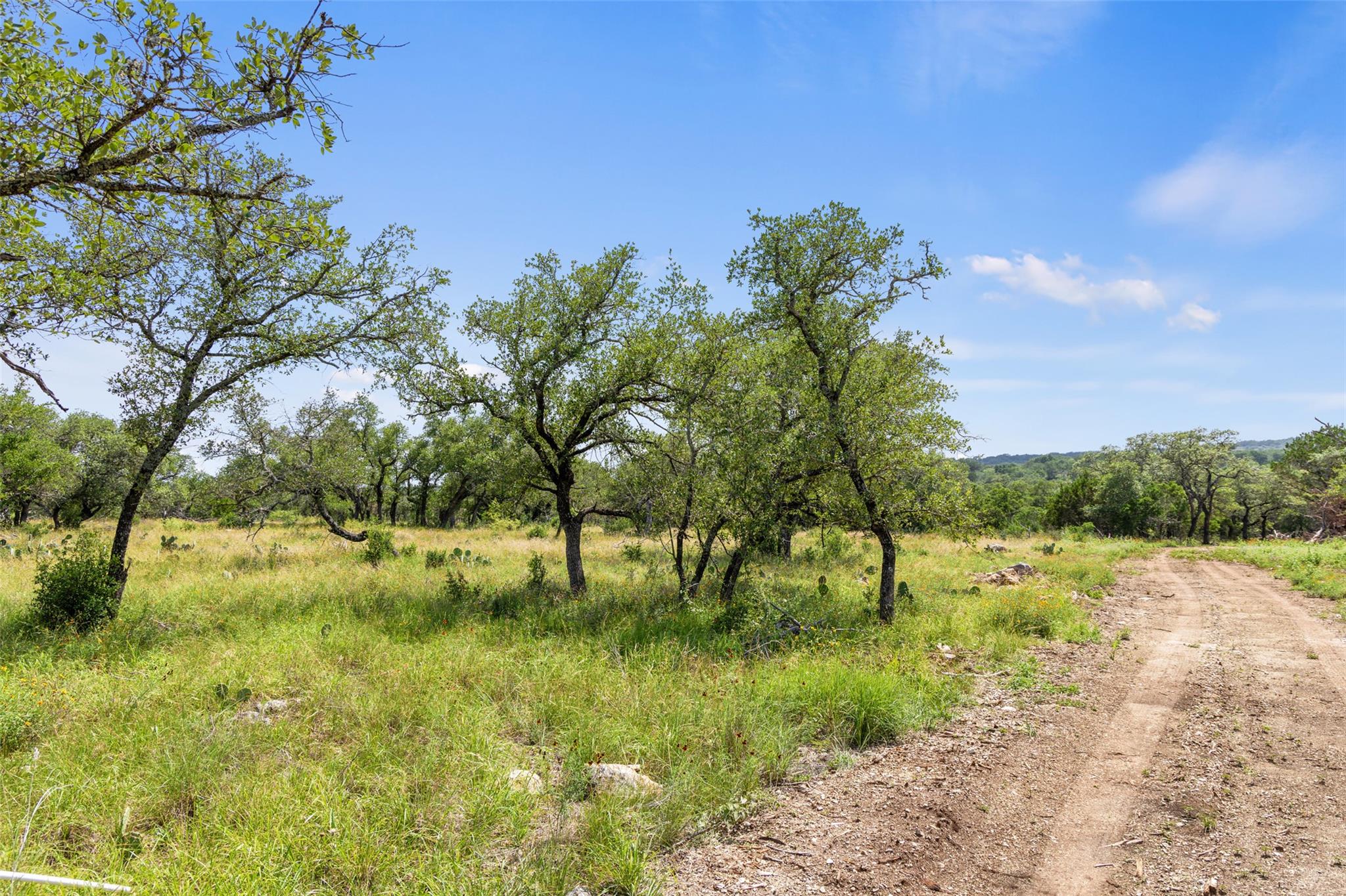 Lot 7 Pedernales Canyon TRL Lot 7