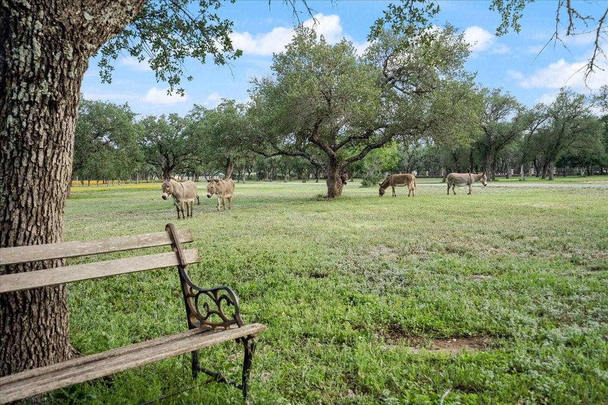 24900 Pedernales Canyon TRL