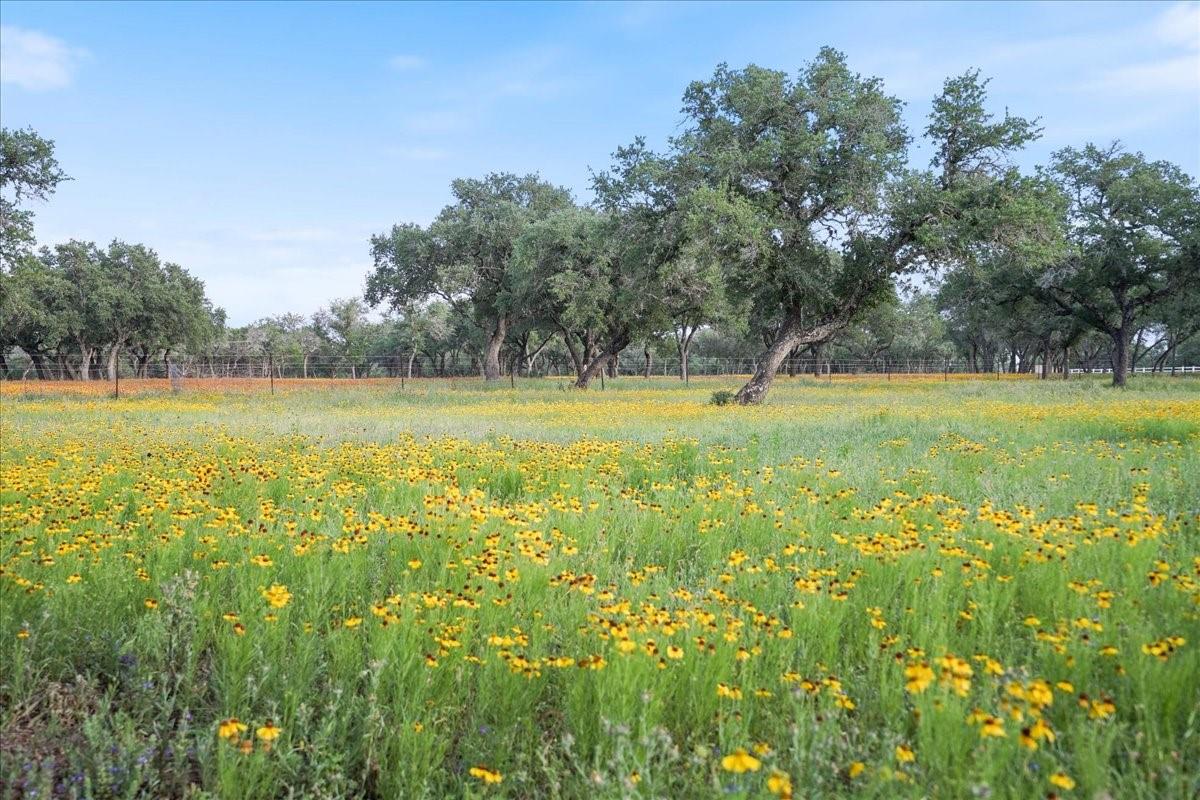 24900 Pedernales Canyon TRL