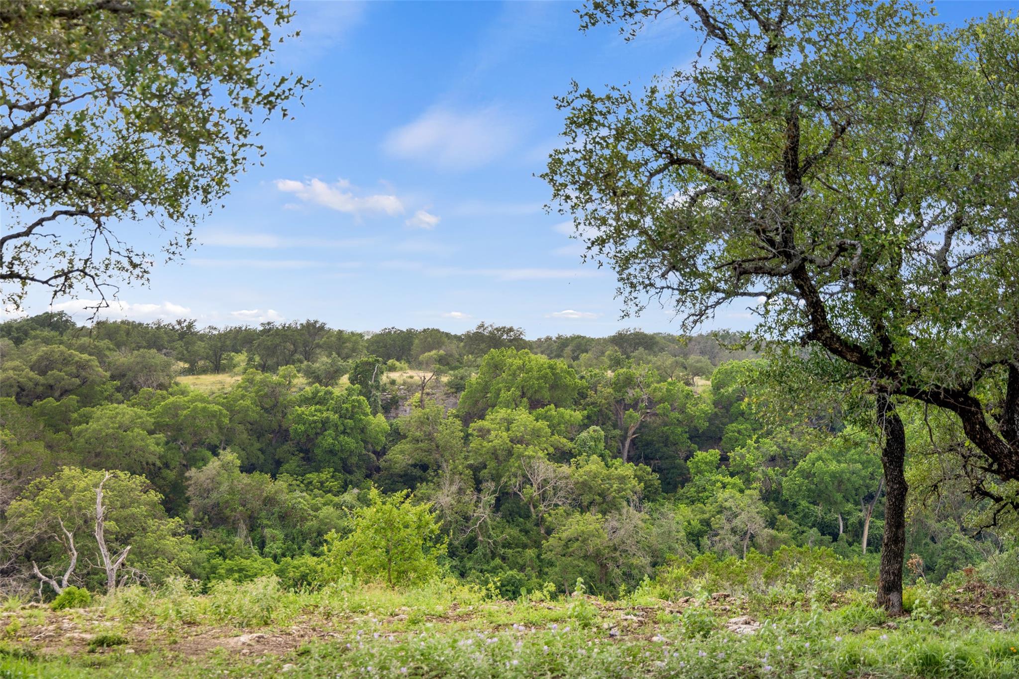 Lot 7 -24525 Pedernales Canyon TRL # 7