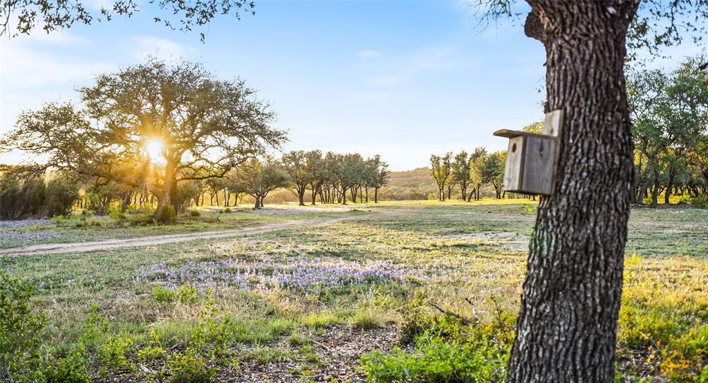 Lot #11-24701 Pedernales Canyon TRL Lot 11