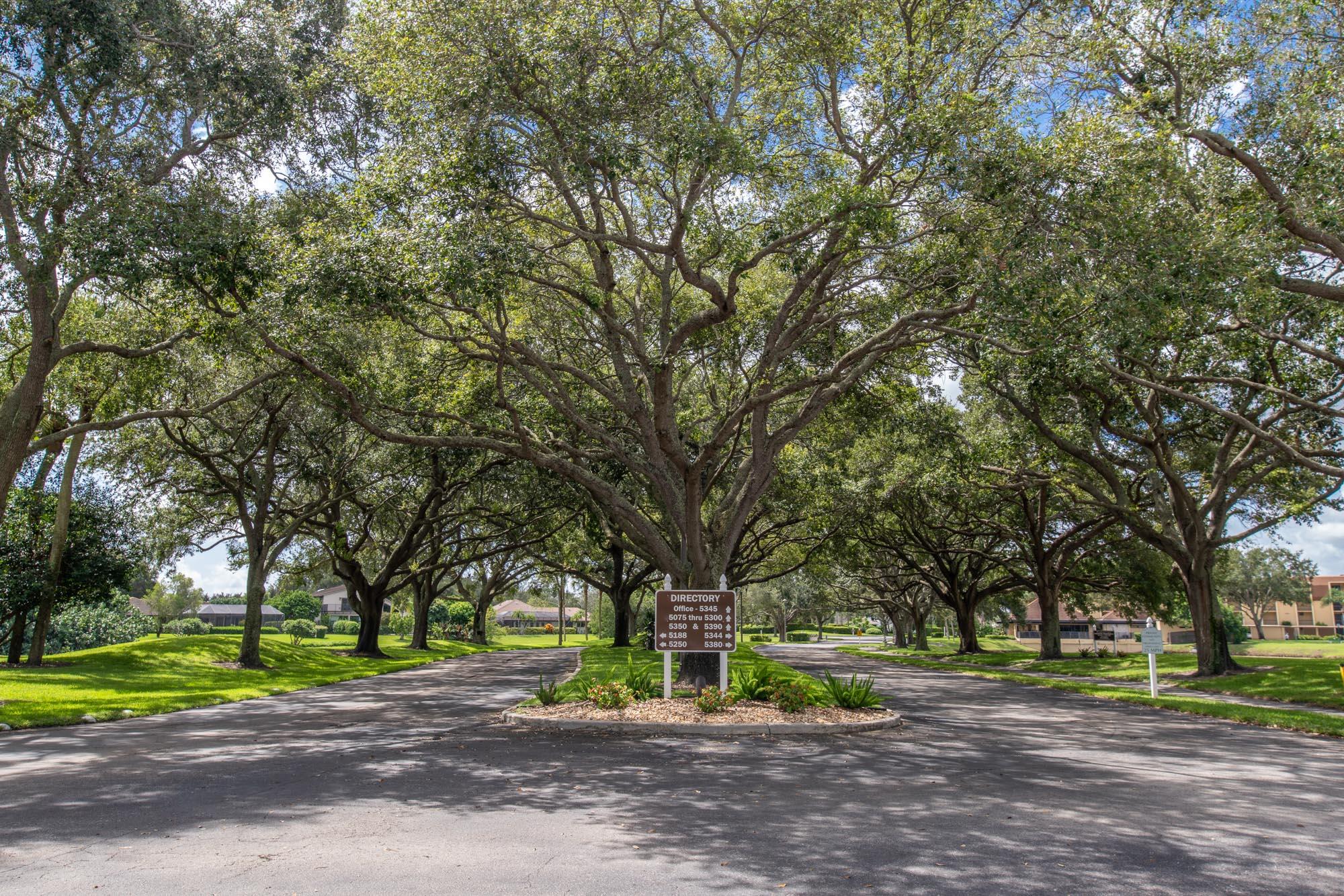 5344 Woodland Lakes Drive 321