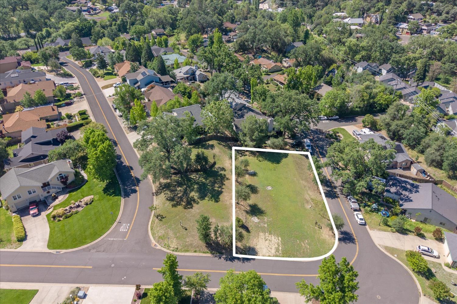 1145 Suzanne Drive