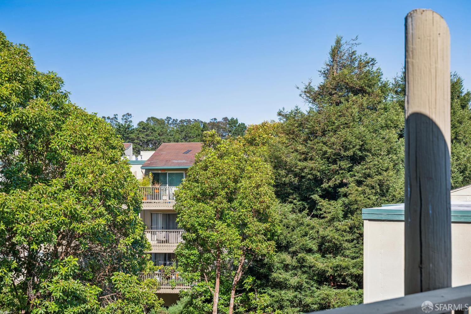 381 Half Moon Lane # 312