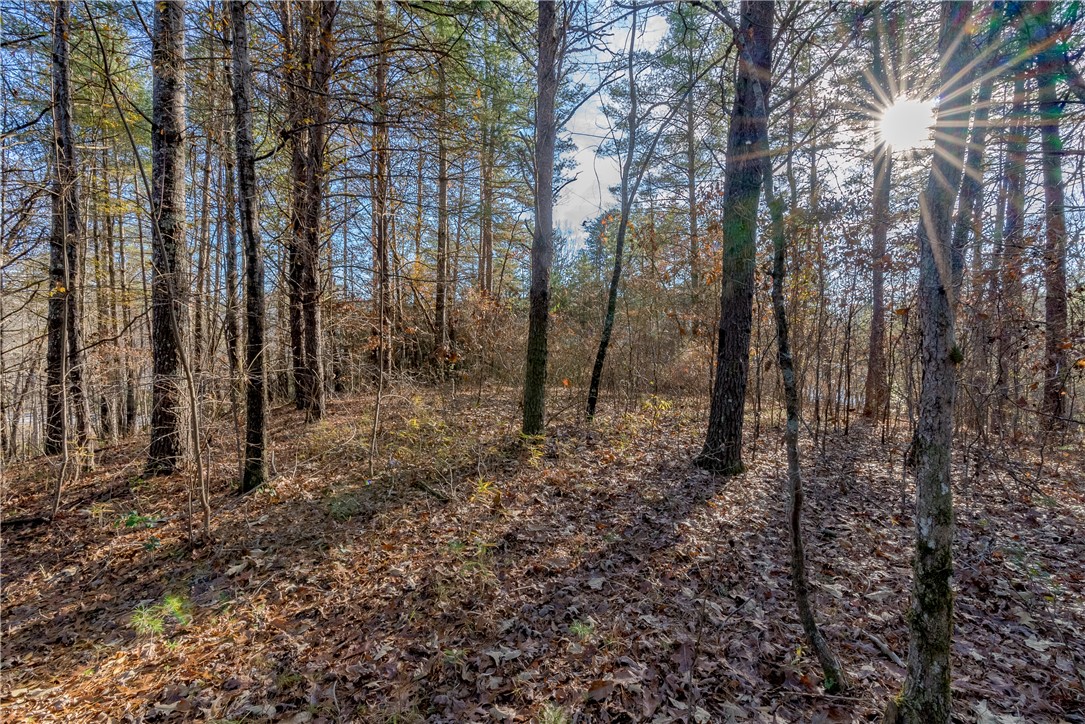 Lot 46 Princess Tree Way