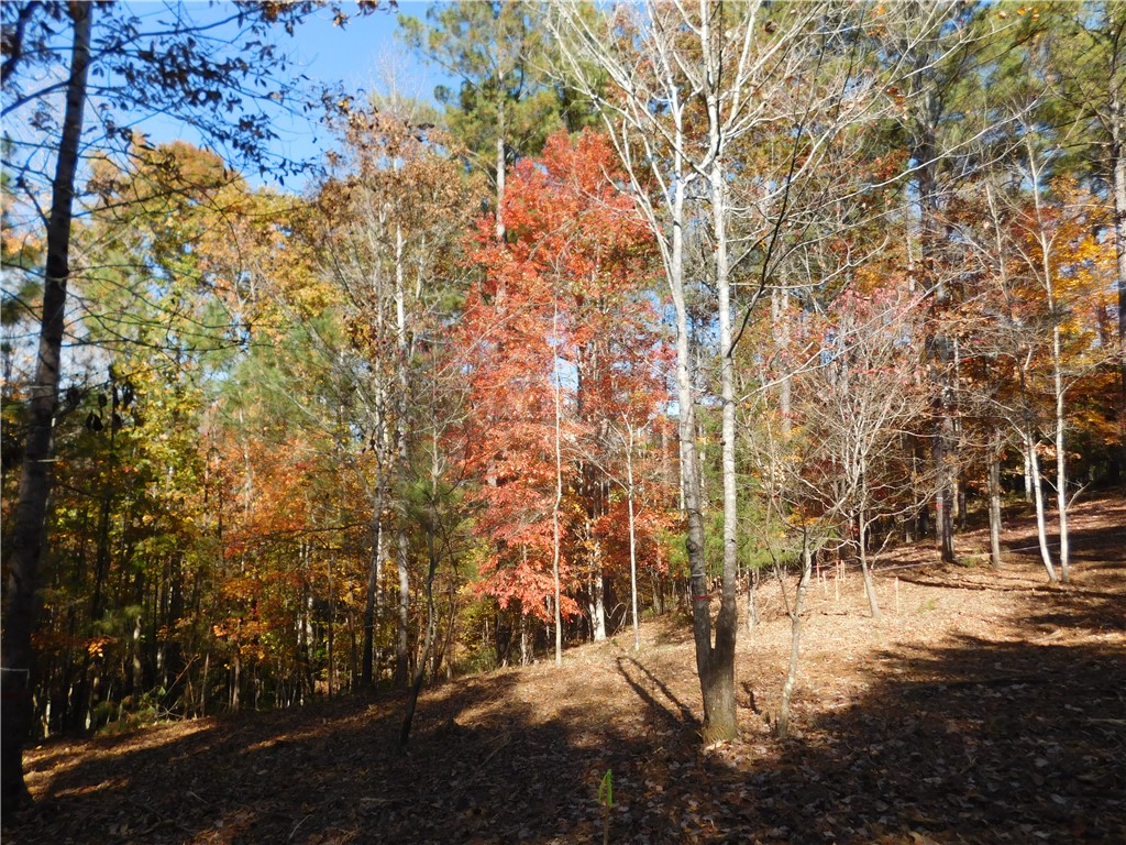 105 Sweet Blossom Way