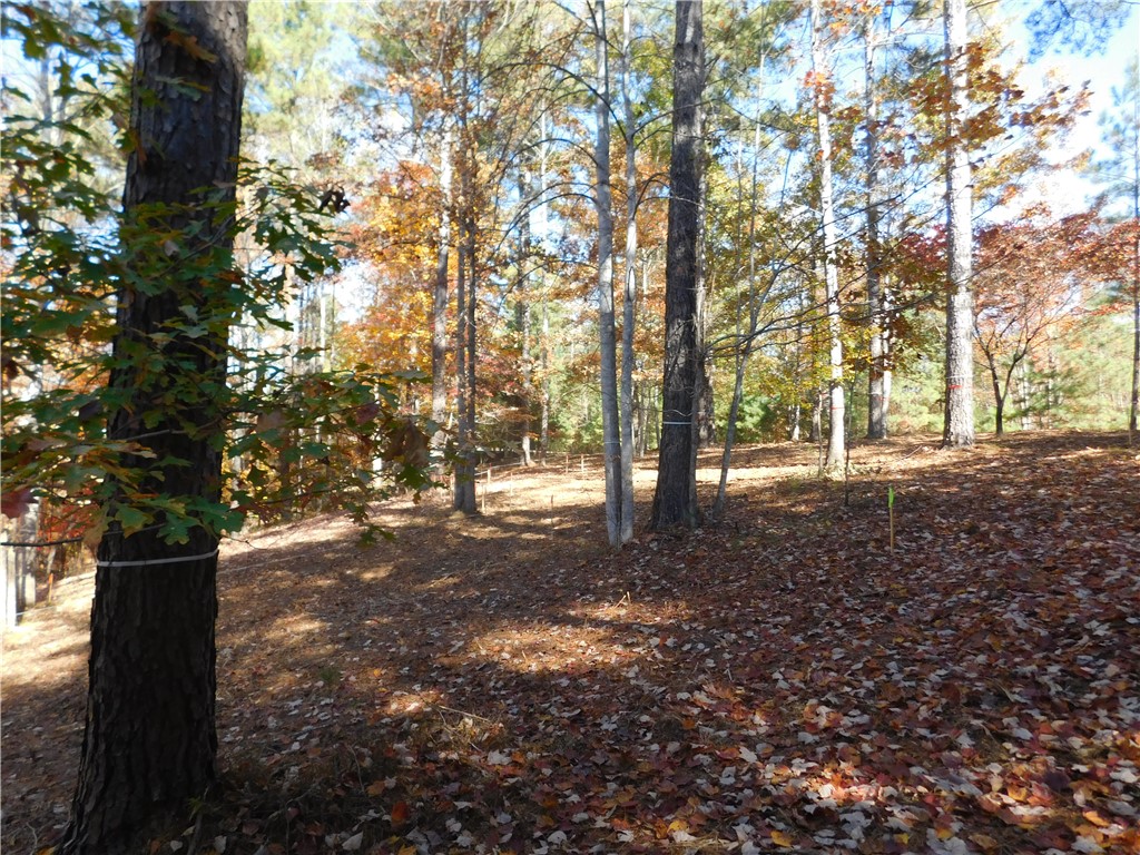 105 Sweet Blossom Way