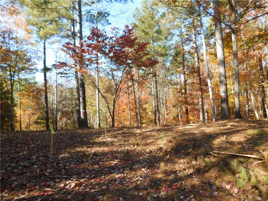 105 Sweet Blossom Way