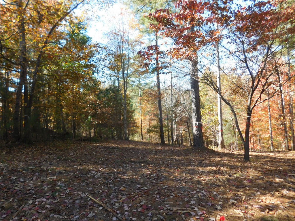 105 Sweet Blossom Way