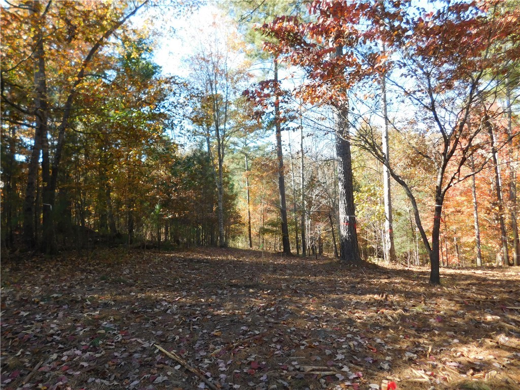 105 Sweet Blossom Way