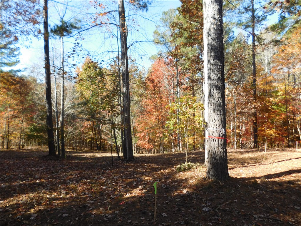 105 Sweet Blossom Way