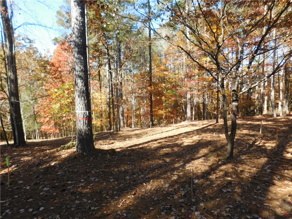 105 Sweet Blossom Way