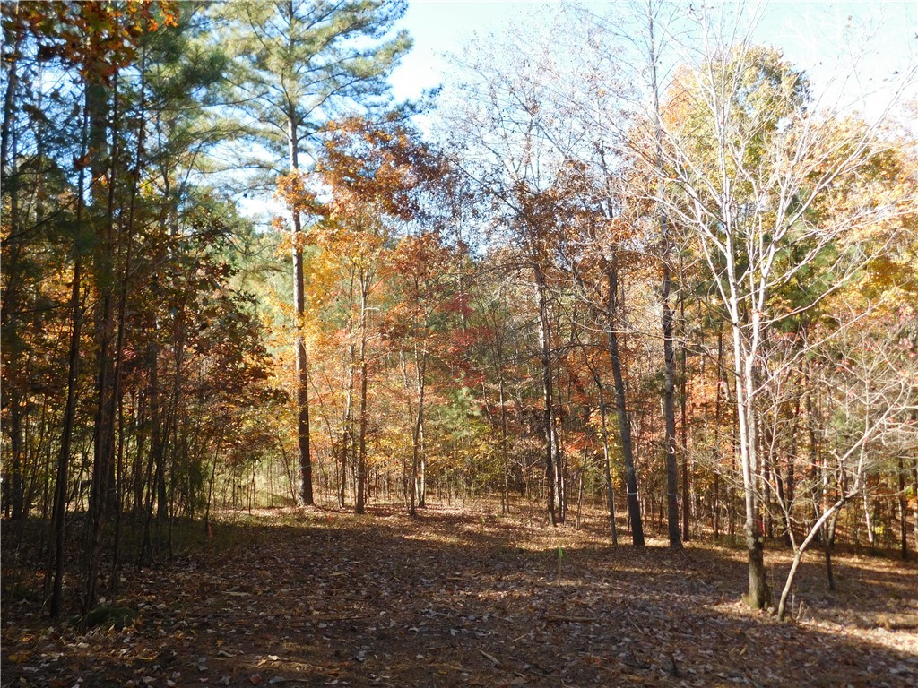 105 Sweet Blossom Way