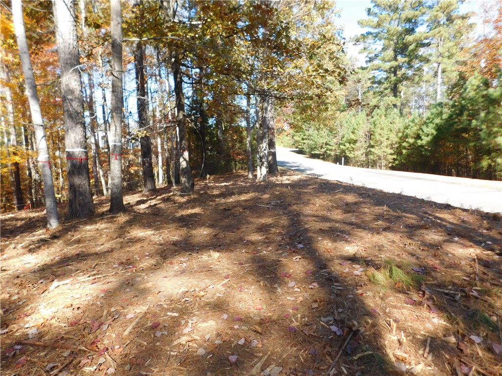 105 Sweet Blossom Way