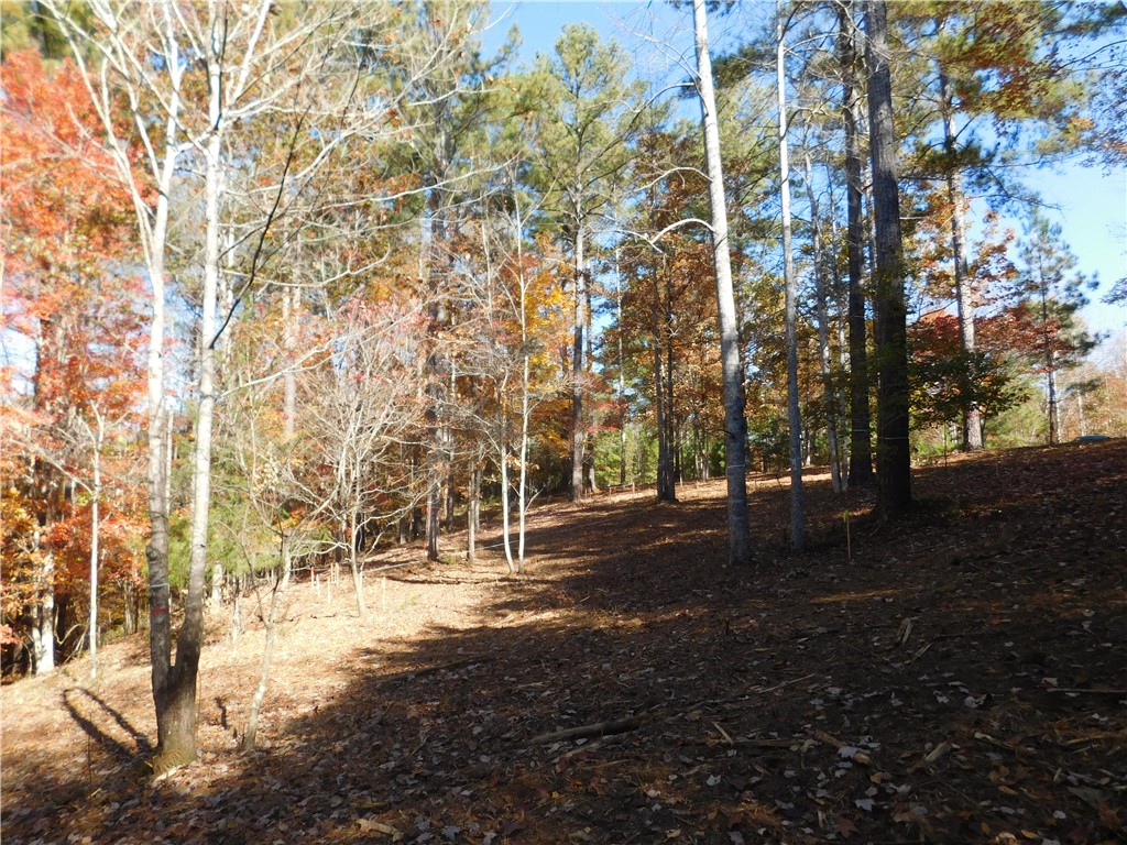 105 Sweet Blossom Way