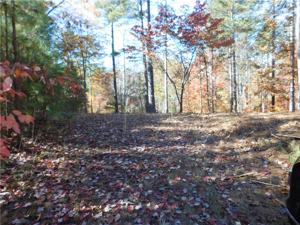 105 Sweet Blossom Way