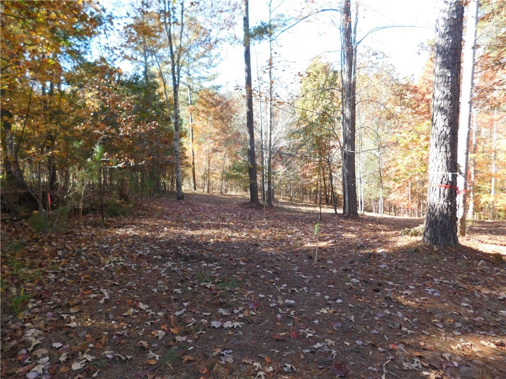 105 Sweet Blossom Way