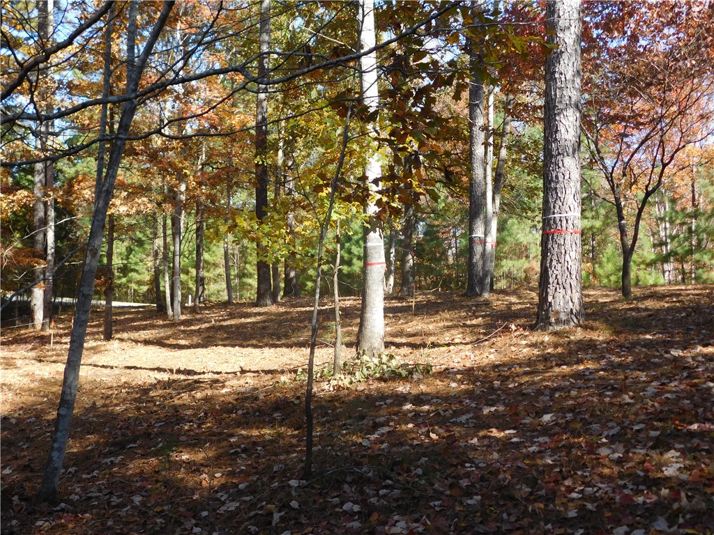 105 Sweet Blossom Way