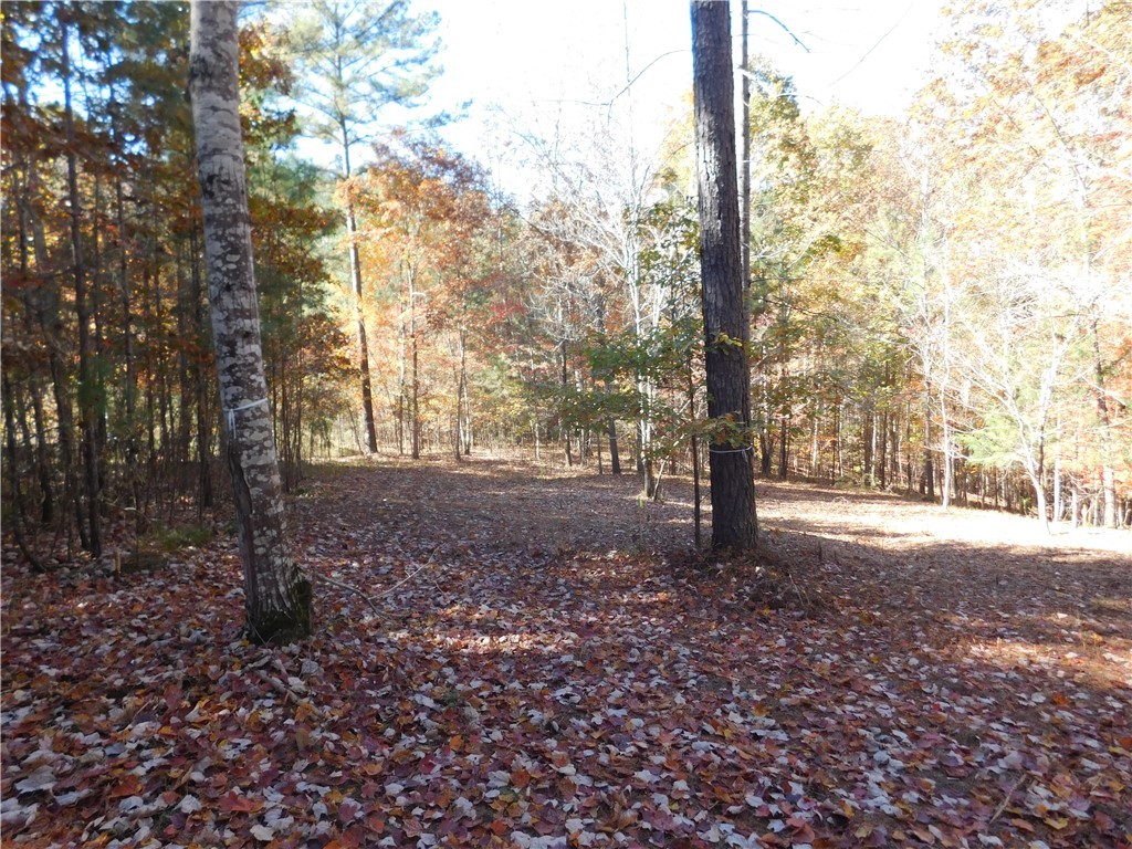 105 Sweet Blossom Way