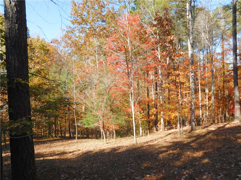 105 Sweet Blossom Way