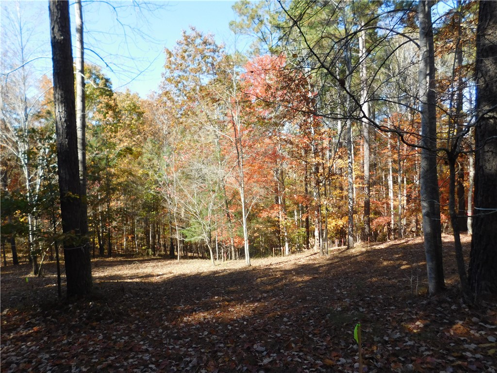 105 Sweet Blossom Way