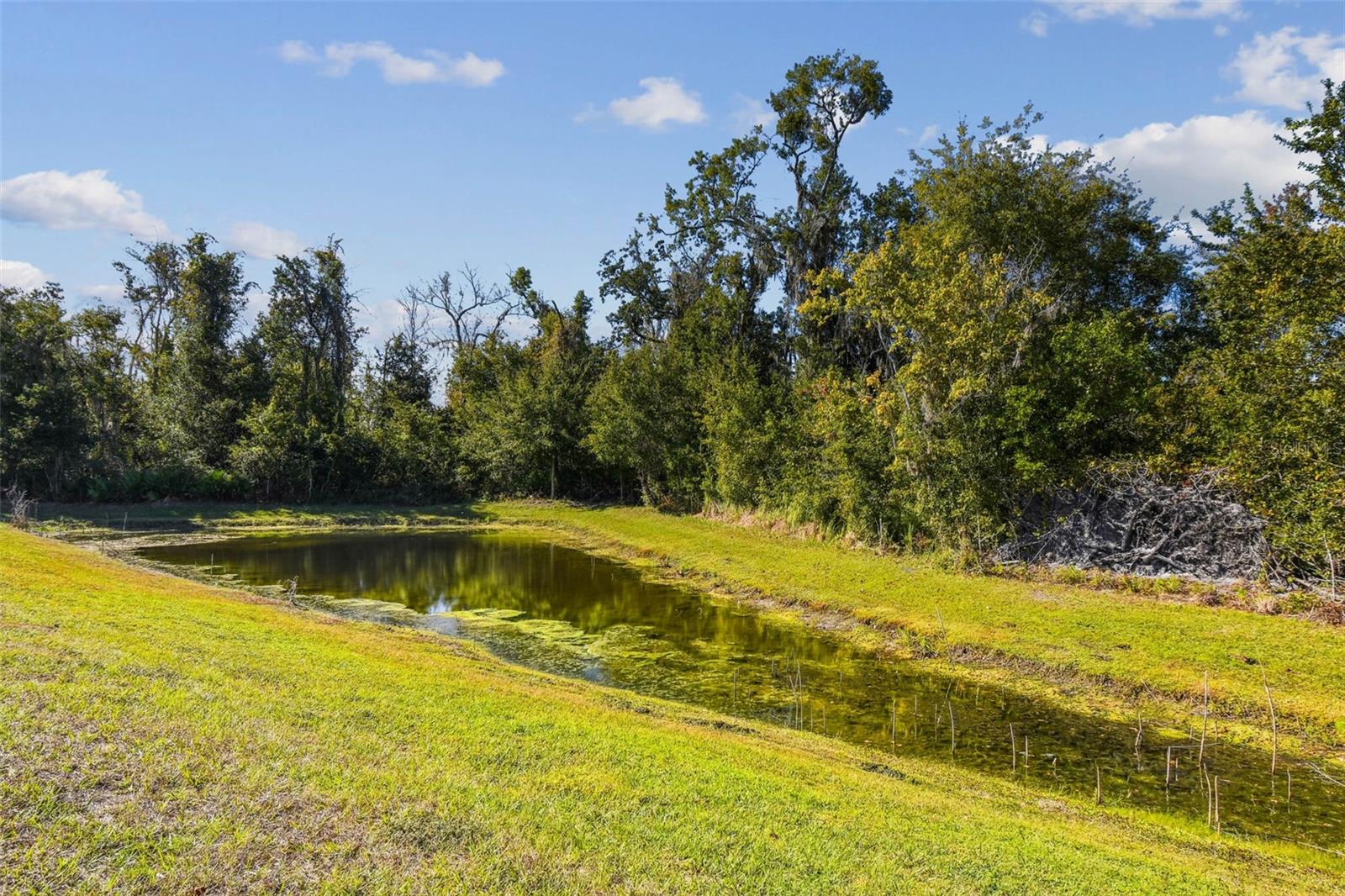12907 CONQUISTADOR LOOP