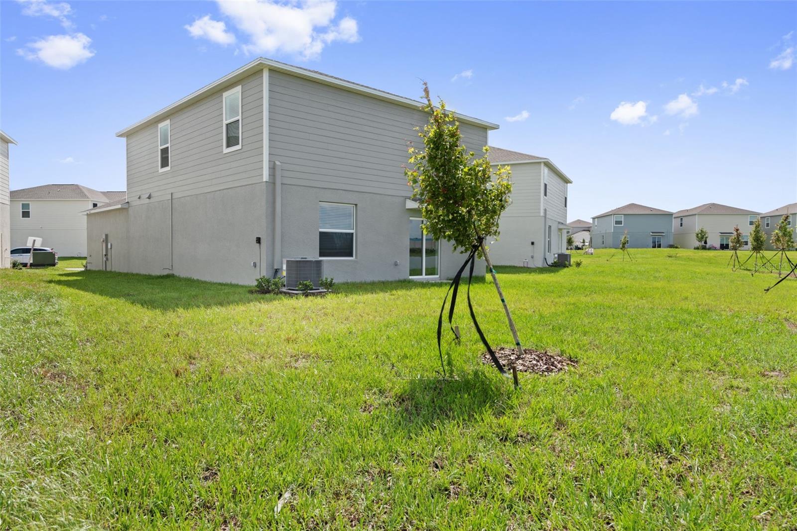 11737 NOBLE BLOSSOM LOOP