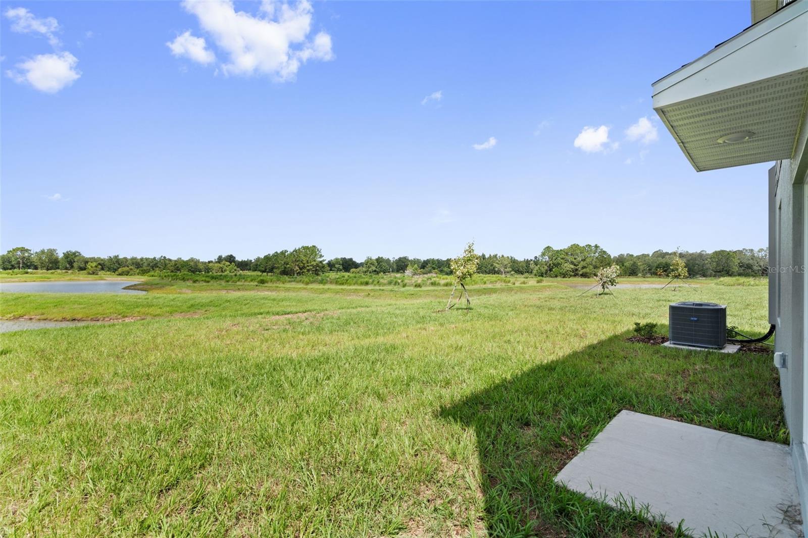 11737 NOBLE BLOSSOM LOOP