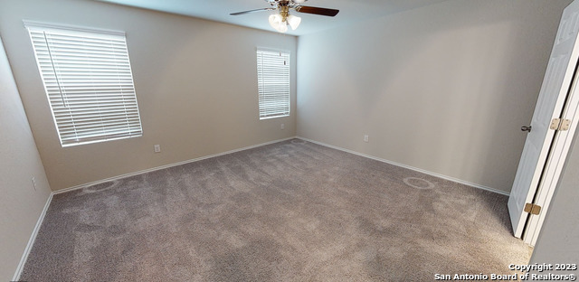 20807 Maple Grove