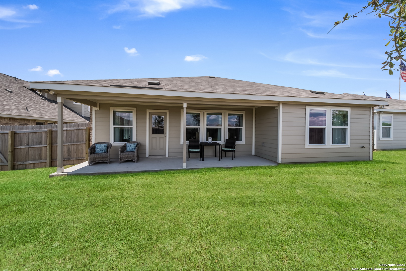 5955 American Elm
