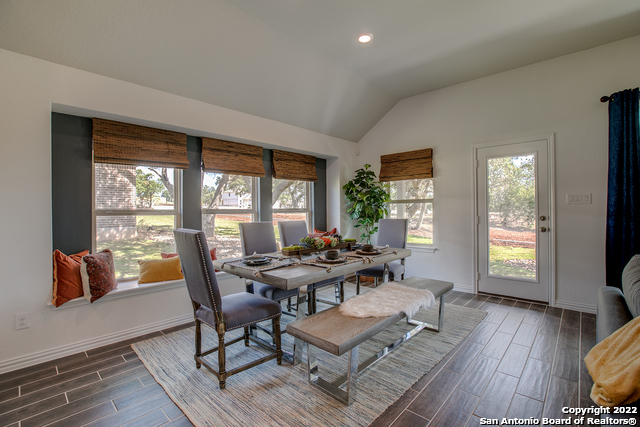 5951 American Elm