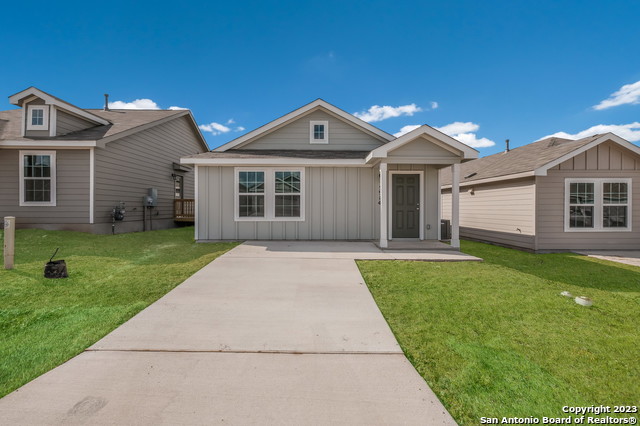 11782 Field Briar