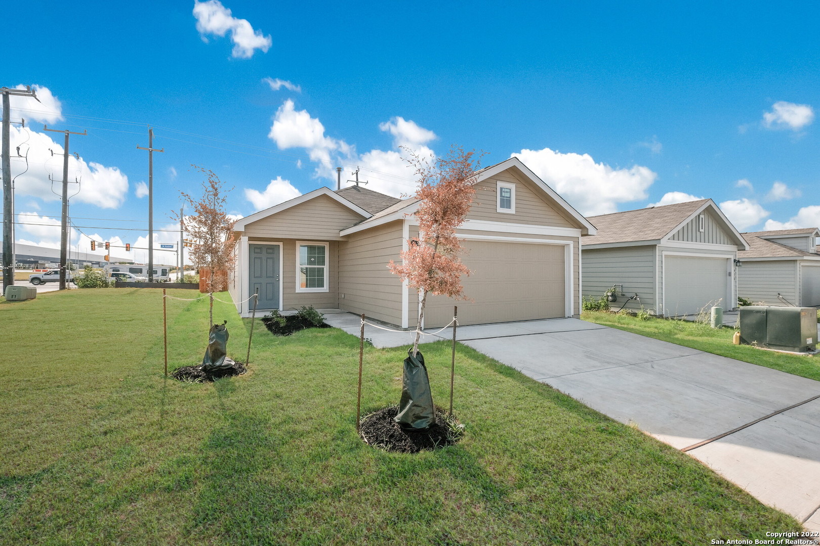11795 Field Briar