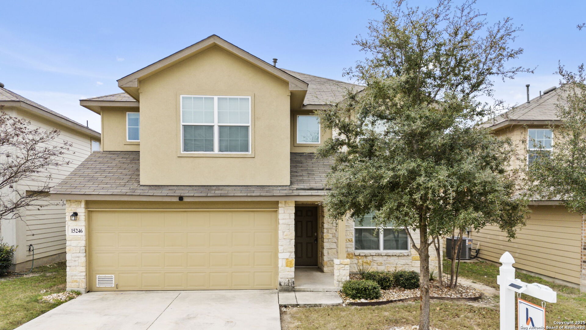15246 CINNAMON TEAL