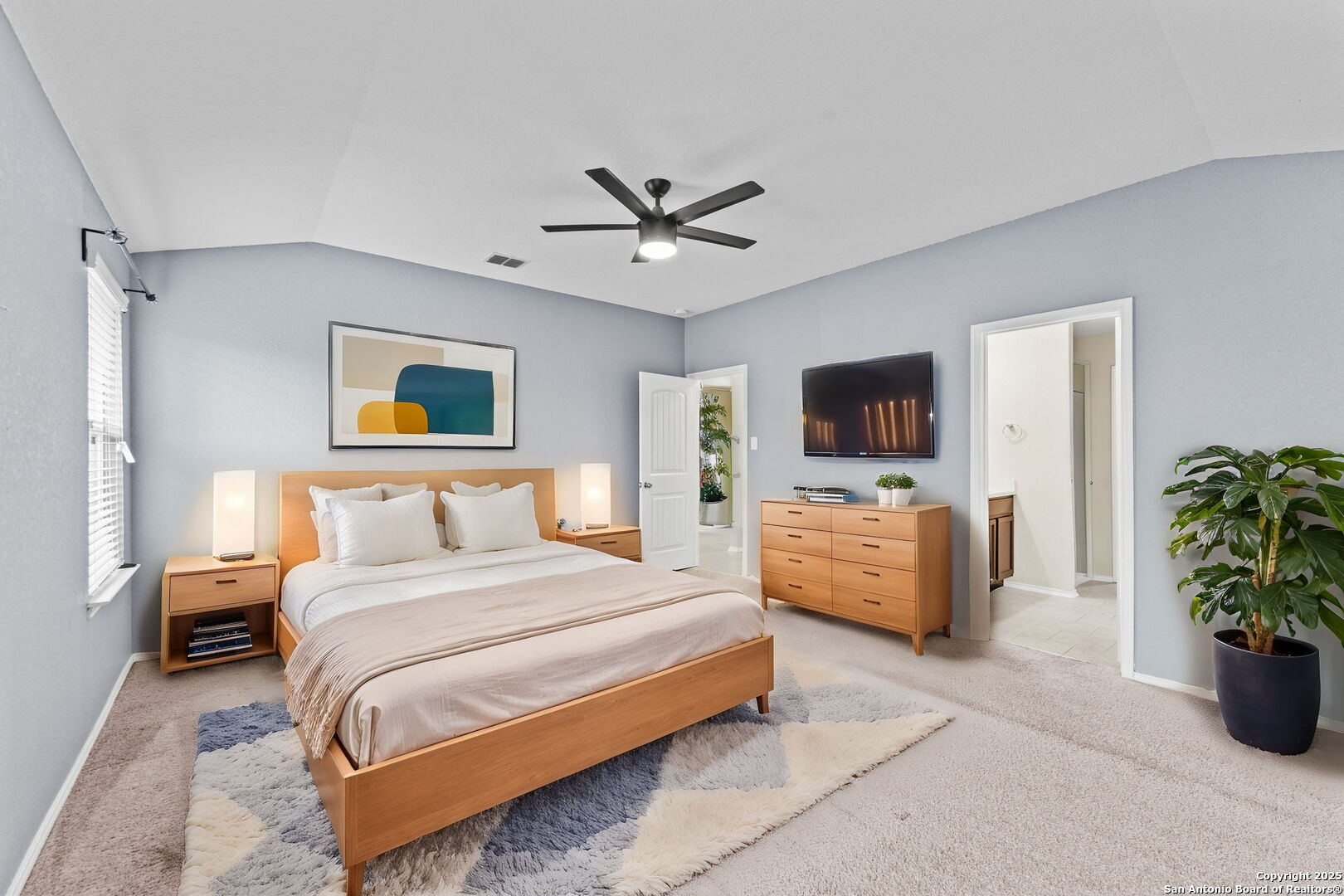 15246 CINNAMON TEAL