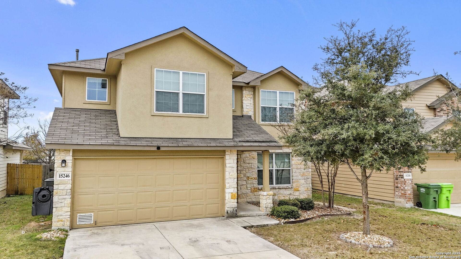 15246 CINNAMON TEAL
