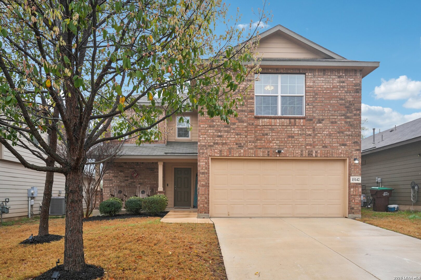 15142 Cinnamon Teal